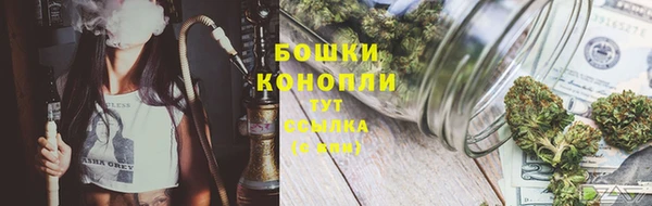 спиды Магас