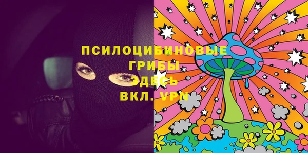 спиды Магас