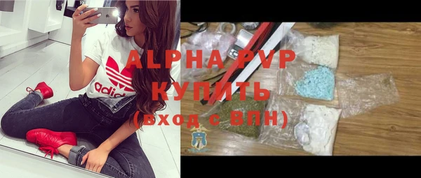 спиды Магас