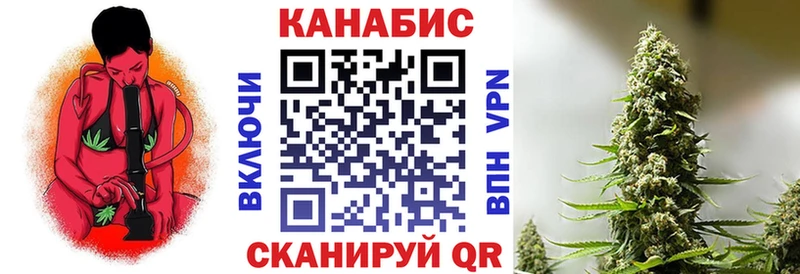 Конопля ГИДРОПОН  Тайга 